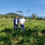Supervisan terreno para Universidad Politécnica en Chocamán