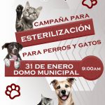 Jornada de Esterilización Canina y Felina