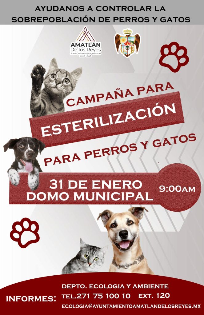 Jornada de Esterilización Canina y Felina