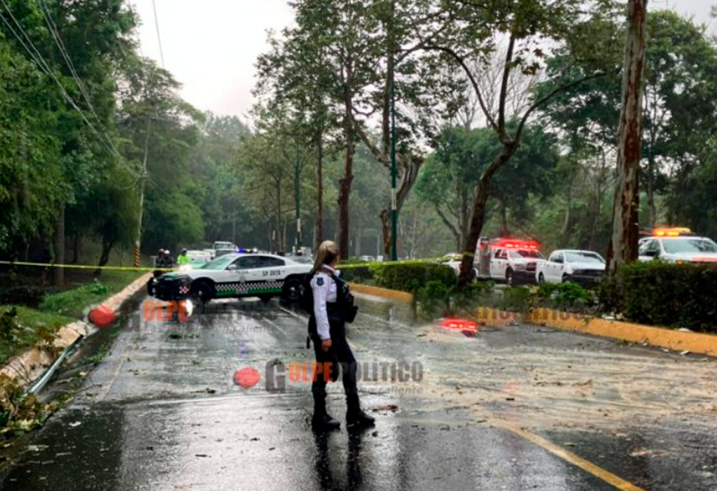 Fatal accidente en avenida de Xalapa