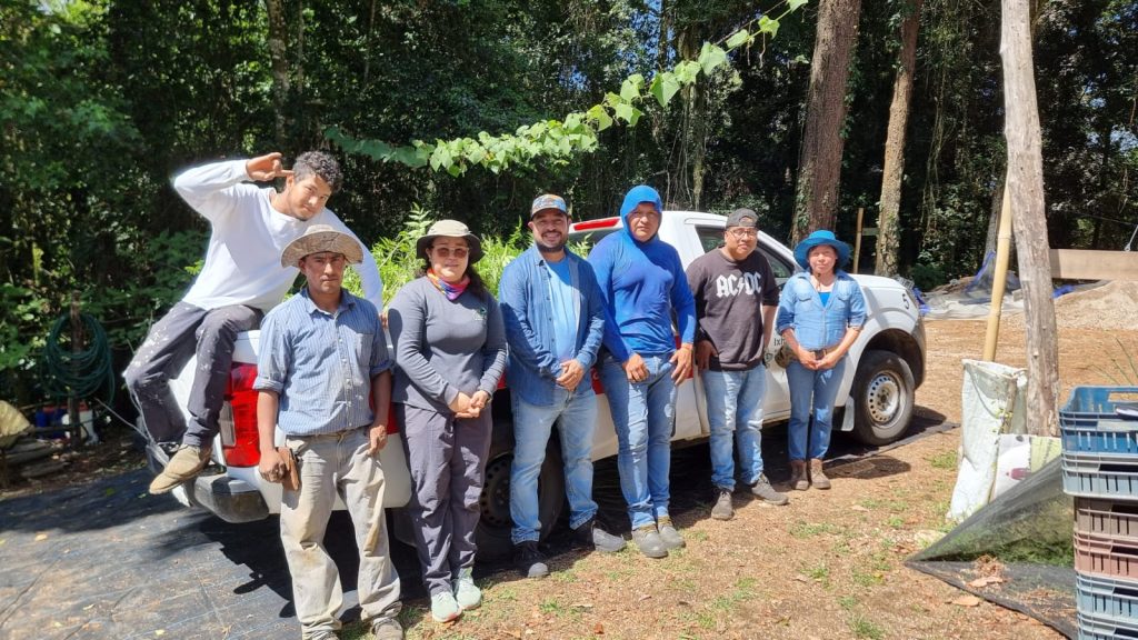 Ralizan gestion de arboles en Ixhuatlán del Café