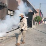 Se propaga el dengue: 385 casos