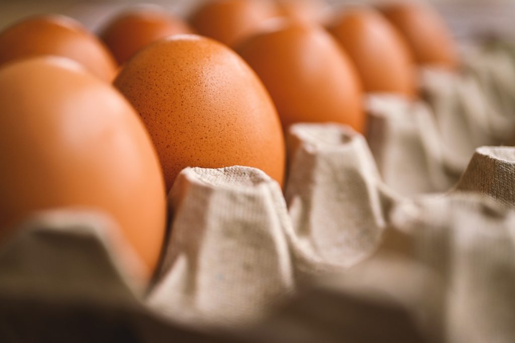 🚨🥚 De Pollo a Huevo: ¡Precios al Alza en Veracruz! 📈🍗