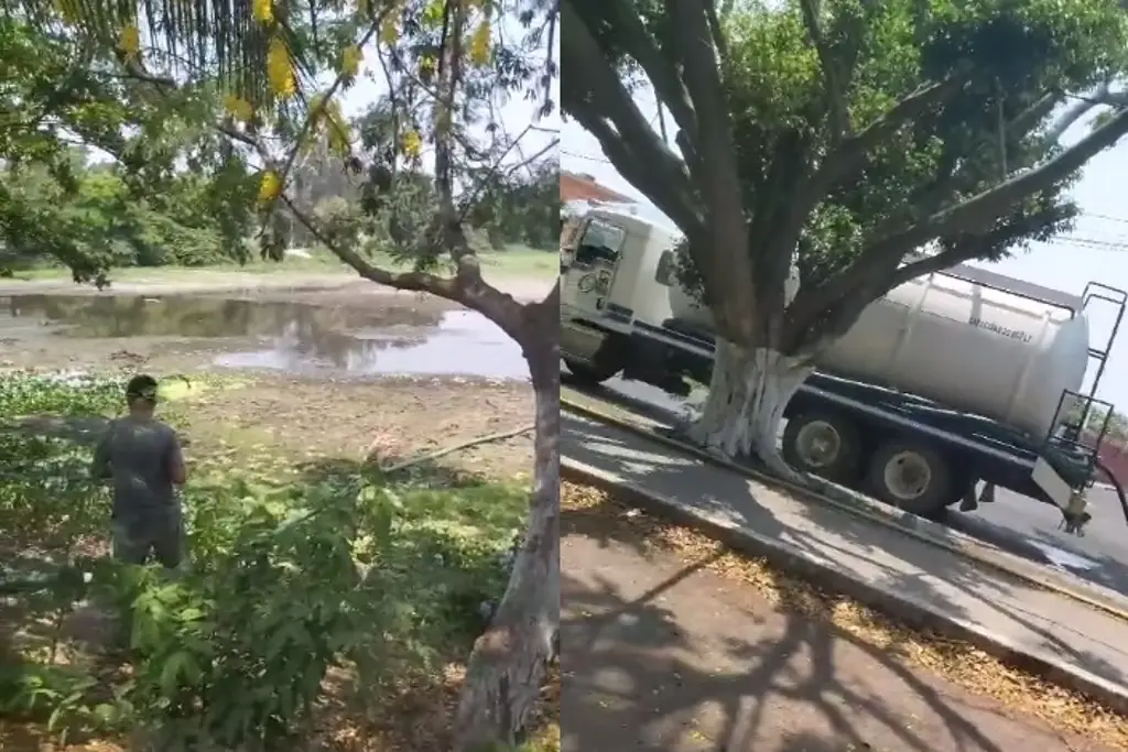 Hombre Compra Pipas de Agua para Llenar la Laguna de Lagartos en Veracruz