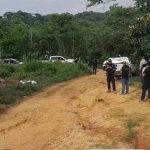 Hallazgo de la activista Sandra Domínguez y su esposo en Veracruz: una tragedia que sacude a Oaxaca