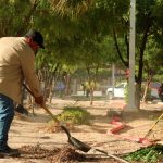 Anuncian empleos temporales para apoyar la reconstrucción tras las inundaciones en Veracruz