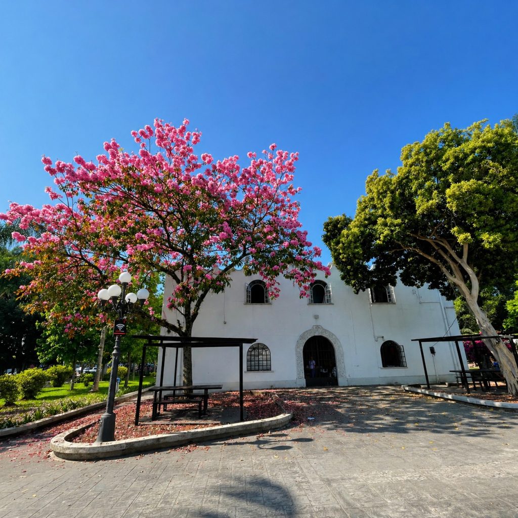 Fortín se llena de vida esta primavera
